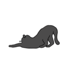 Meow, We are Cats！（個別スタンプ：21）