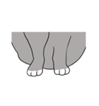 Meow, We are Cats！（個別スタンプ：22）