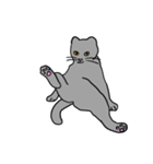 Meow, We are Cats！（個別スタンプ：26）