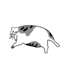 Meow, We are Cats！（個別スタンプ：28）