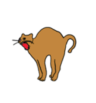 Meow, We are Cats！（個別スタンプ：31）