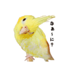 レモンと愉快な仲間たち（個別スタンプ：2）