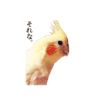 レモンと愉快な仲間たち（個別スタンプ：4）