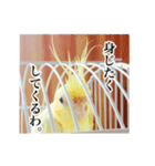 レモンと愉快な仲間たち（個別スタンプ：5）