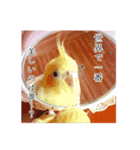 レモンと愉快な仲間たち（個別スタンプ：9）
