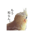 レモンと愉快な仲間たち（個別スタンプ：10）