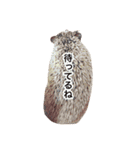 レモンと愉快な仲間たち（個別スタンプ：13）