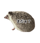 レモンと愉快な仲間たち（個別スタンプ：14）