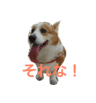 コタローのイマドキ言葉（個別スタンプ：4）