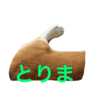 コタローのイマドキ言葉（個別スタンプ：7）