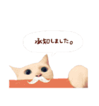 松浦家のねこさん（個別スタンプ：1）