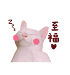 松浦家のねこさん（個別スタンプ：10）