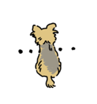 ヨークシャーテリアの犬スタンプ（個別スタンプ：2）