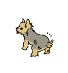 ヨークシャーテリアの犬スタンプ（個別スタンプ：30）