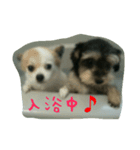 安産を祈って（個別スタンプ：1）