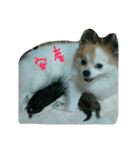 安産を祈って（個別スタンプ：2）