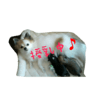 安産を祈って（個別スタンプ：3）
