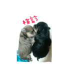 安産を祈って（個別スタンプ：5）