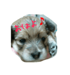 安産を祈って（個別スタンプ：7）