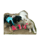 安産を祈って（個別スタンプ：8）