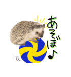 ハリネズミのコロンさん（個別スタンプ：2）