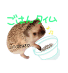 ハリネズミのコロンさん（個別スタンプ：6）