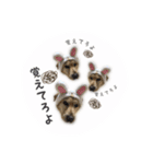 ミニーさん@DKF その2（個別スタンプ：4）