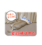 ミニーさん@DKF その2（個別スタンプ：5）