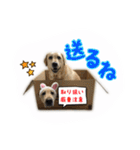 ミニーさん@DKF その2（個別スタンプ：18）