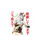 ミニーさん@DKF その2（個別スタンプ：32）
