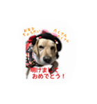 ミニーさん@DKF その2（個別スタンプ：39）