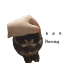 Baro The Rabbit（個別スタンプ：25）