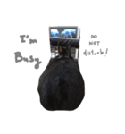 Baro The Rabbit（個別スタンプ：30）