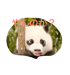変人スタンプ。（個別スタンプ：1）