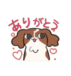 感情豊かなかわいい動物（個別スタンプ：2）