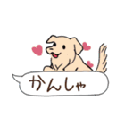 感情豊かなかわいい動物（個別スタンプ：4）