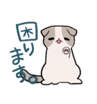 感情豊かなかわいい動物（個別スタンプ：5）