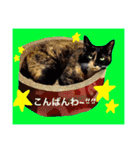 毎日の挨拶（個別スタンプ：4）