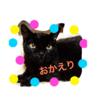 毎日の挨拶（個別スタンプ：8）