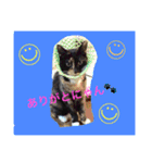 毎日の挨拶（個別スタンプ：11）
