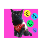 毎日の挨拶（個別スタンプ：16）