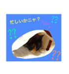 毎日の挨拶（個別スタンプ：20）