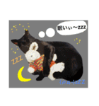 毎日の挨拶（個別スタンプ：21）