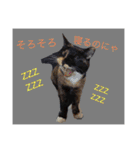 毎日の挨拶（個別スタンプ：22）