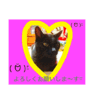 毎日の挨拶（個別スタンプ：26）