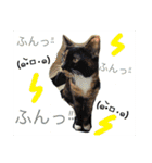 毎日の挨拶（個別スタンプ：27）