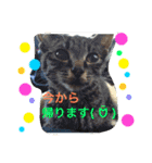 毎日の挨拶（個別スタンプ：32）