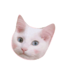 みーたろとちーたろ（個別スタンプ：2）
