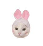 みーたろとちーたろ（個別スタンプ：11）