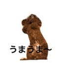 こて2（個別スタンプ：1）